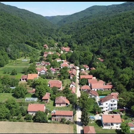 Ferienwohnung Domacinstvo Trifunovic Pretresnja Exterior foto