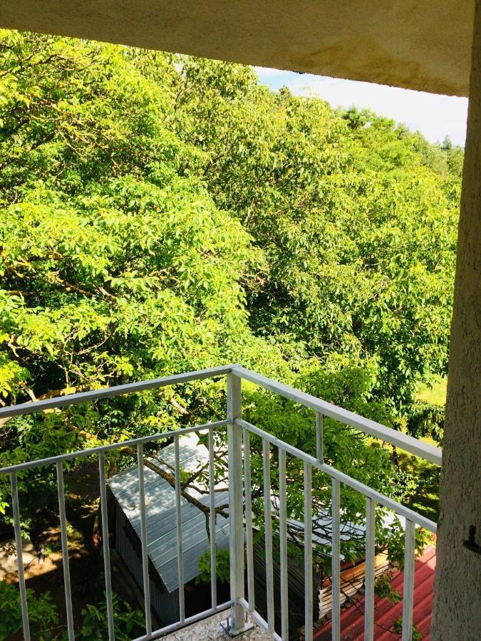 Ferienwohnung Domacinstvo Trifunovic Pretresnja Exterior foto