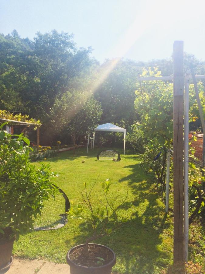 Ferienwohnung Domacinstvo Trifunovic Pretresnja Exterior foto