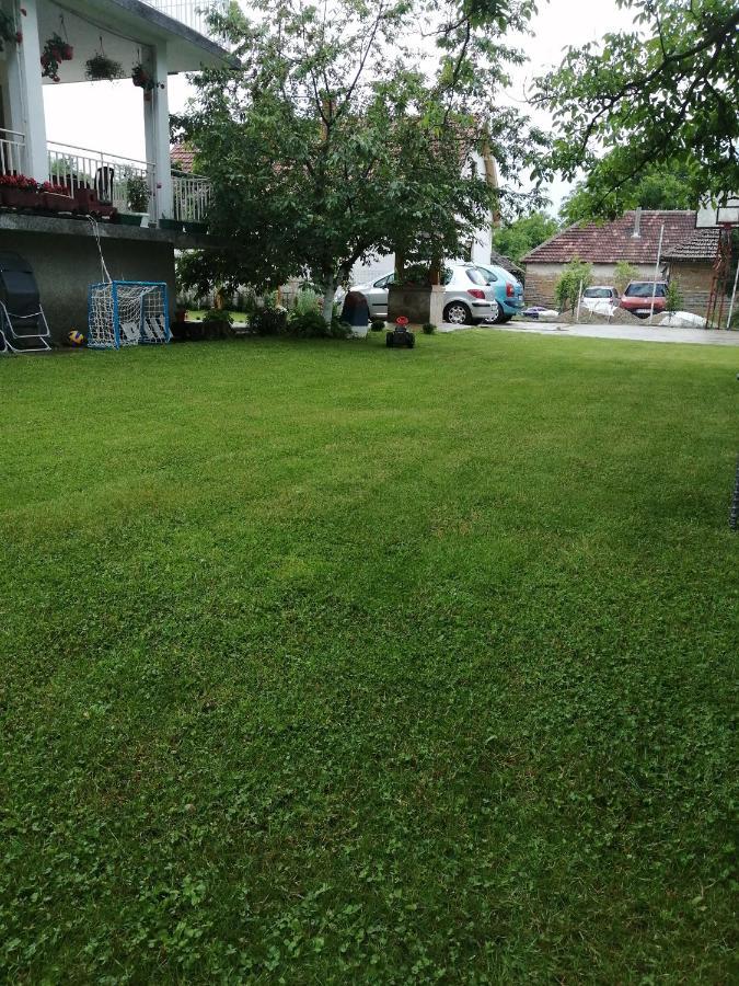 Ferienwohnung Domacinstvo Trifunovic Pretresnja Exterior foto