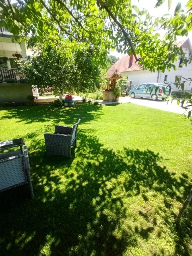 Ferienwohnung Domacinstvo Trifunovic Pretresnja Exterior foto