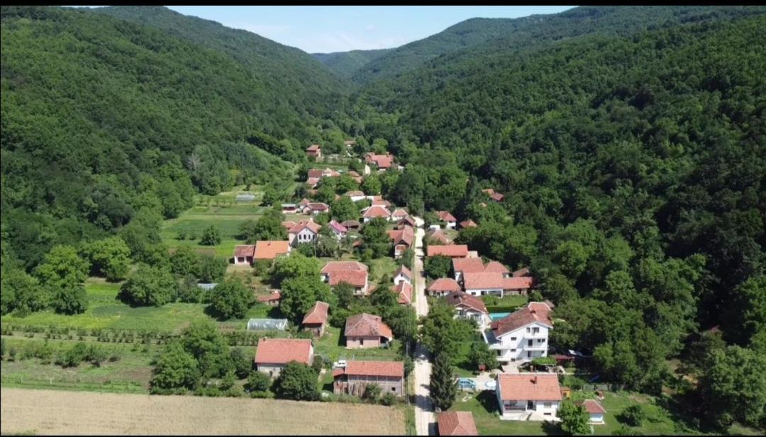 Ferienwohnung Domacinstvo Trifunovic Pretresnja Exterior foto